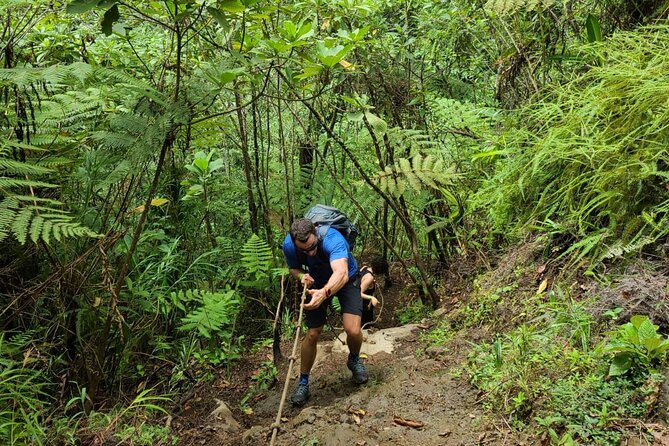 Full-Day Vara Blanca Hike Tour - Tour Overview