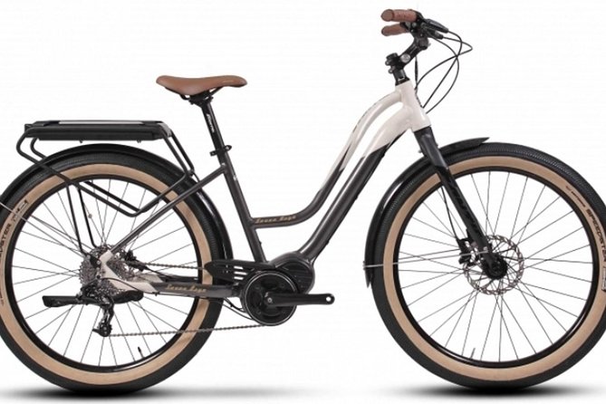 Full Day Venice E-Bike Rental