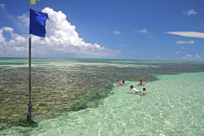 Full-Day Visit to Paripueira Beach and Tide Pools in Maceió