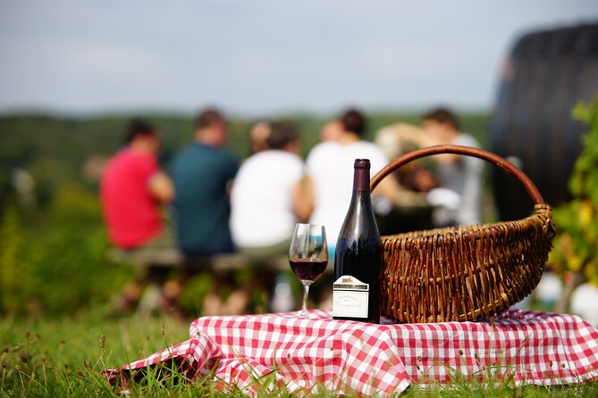 Full Day Wine Tour in Vouvray and Chinon With LUNCH at the Winery