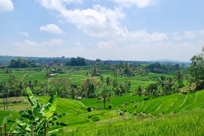 Full Day Wonders of Bali Group Tour With Pickup and Lunch
