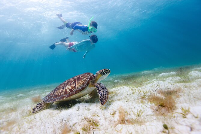 Full or Half Day Private Power Catamaran- USVI Beach and Snorkel