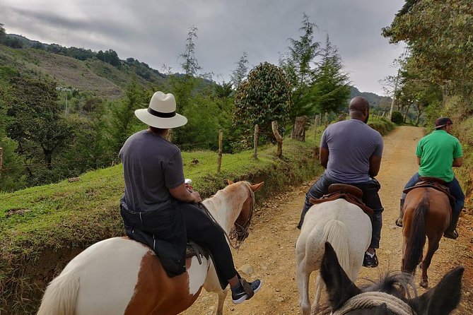 Fun Horse Rides Near Bogota - Horseback Riding Tour Pricing