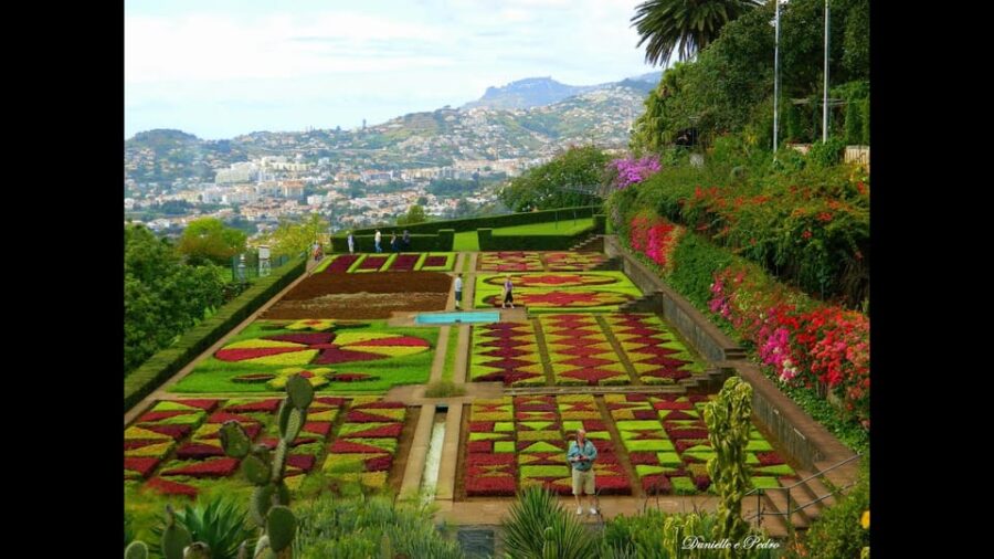 Funchal: Botanical Garden Tour and Guided Tuk-Tuk Ride