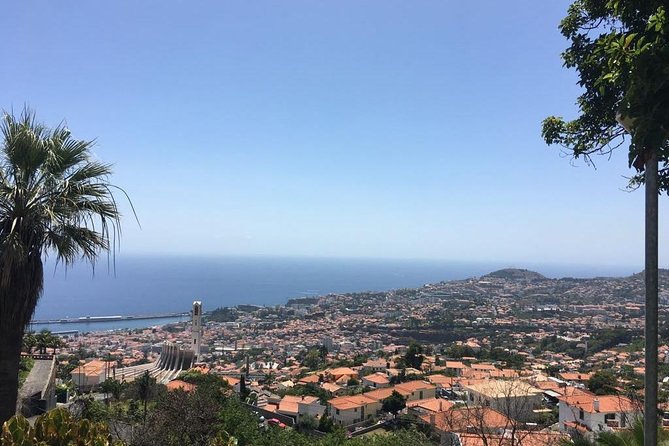 Funchal Private Vehicle Service With Driver for a Half Day or Full Day - Service Overview
