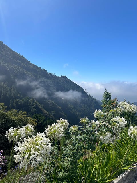 Funchal: Valley of the Nun’S Tour by Tuk Tuk