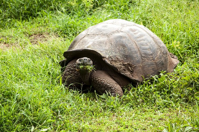 Galapagos Islands Airport Arrival Transfer