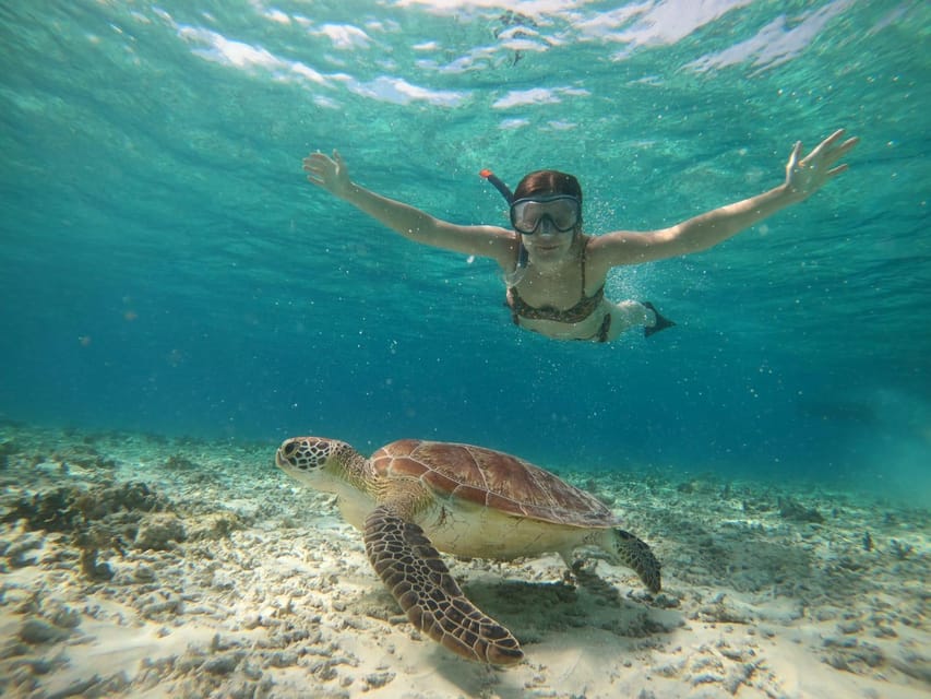 Gili Island: Sunset and Snorkeling Tour + Gopro Photoshoot