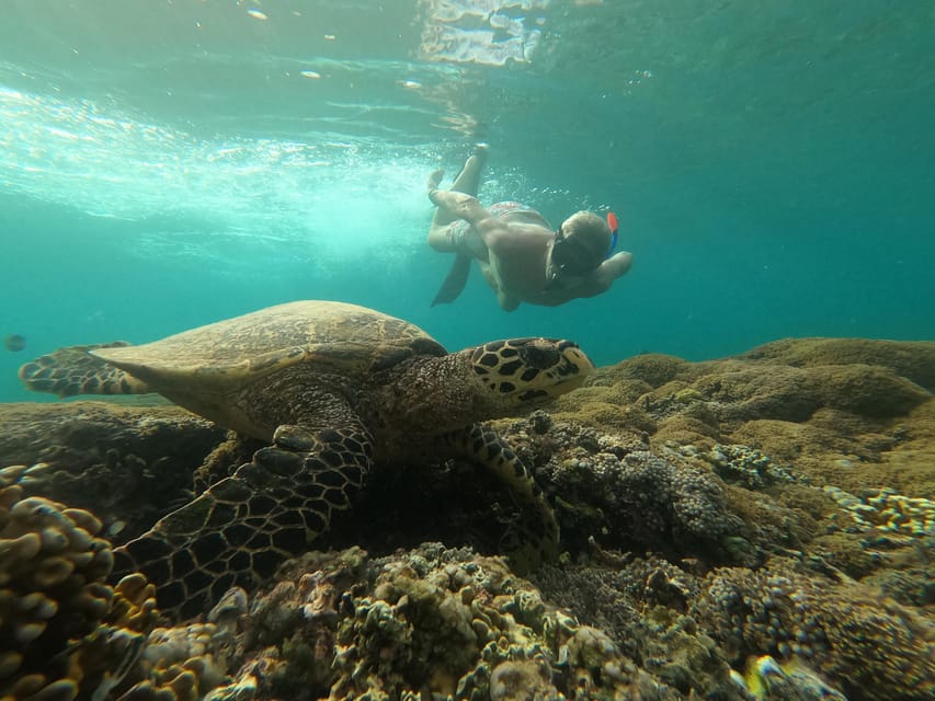 Gili T Snorkeling Trip By Glass Bottom Boat