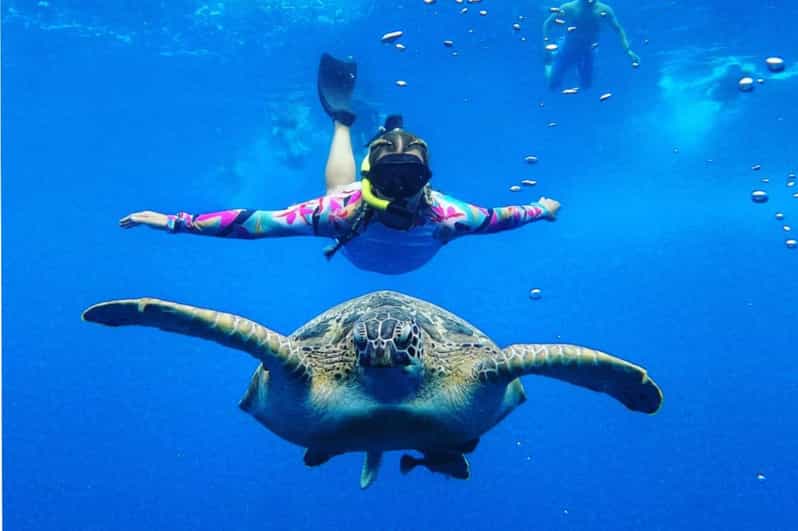 Gili Trawangan : 2 Hours Private Snorkeling 3 Spots + GOPRO