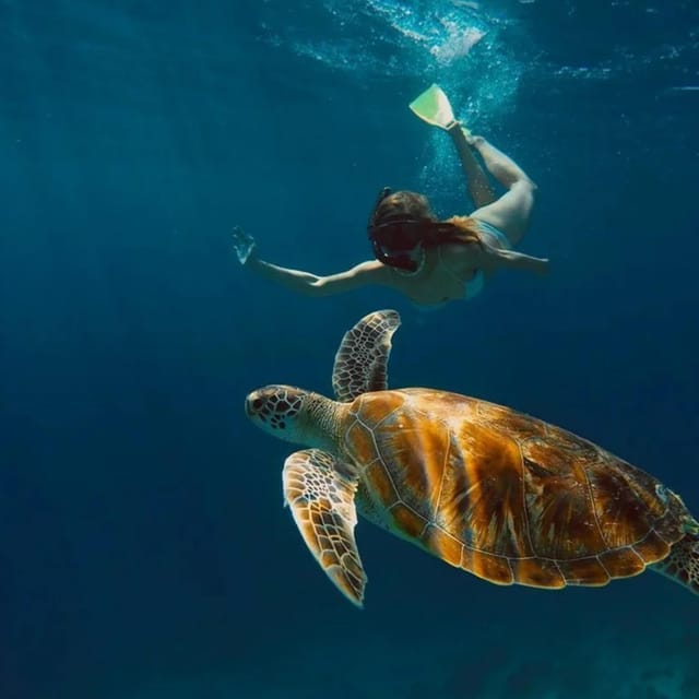 Gili Trawangan : Private Snorkeling Sunrise and Sunset Tour