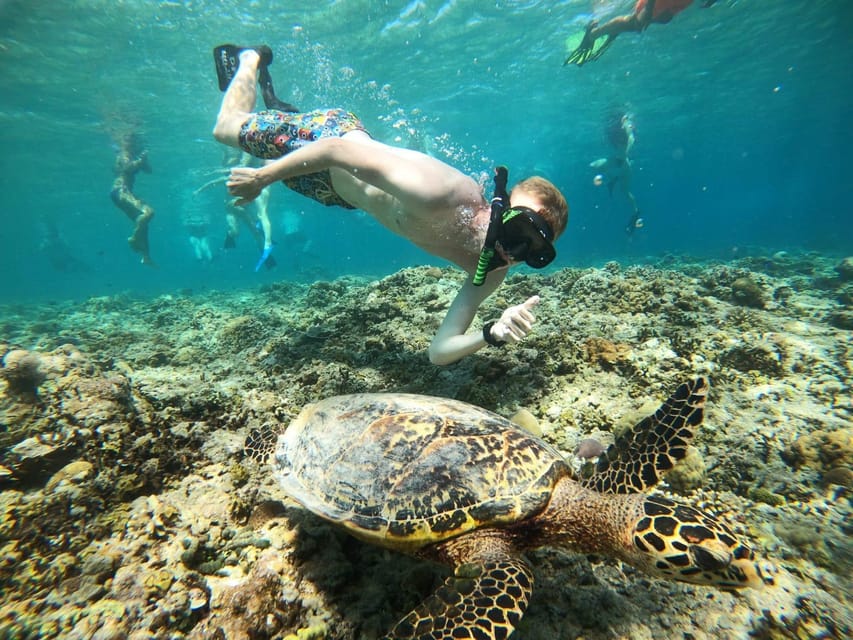 Gili Trawangan : Snorkeling Swimming With Turtle & Statue