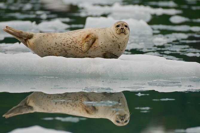 Glacier Quest Cruise and Coach Package