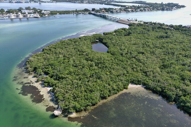Glass Bottom Kayak Mangrove Tunnel & Sandbar Adventure Sarasota