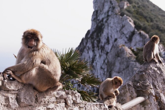 Go Tours 360° Experience in Gibraltar With Professional Guide