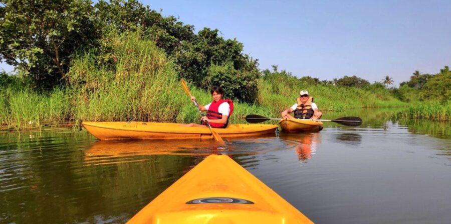 2 Best Canoe And Kayak Experiences In Goa