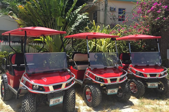 Golf Cart Rental by Group 3-4seater