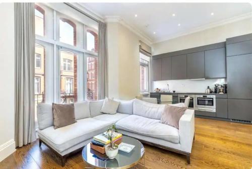 Gorgeous Condos in Tribeca - Property Overview
