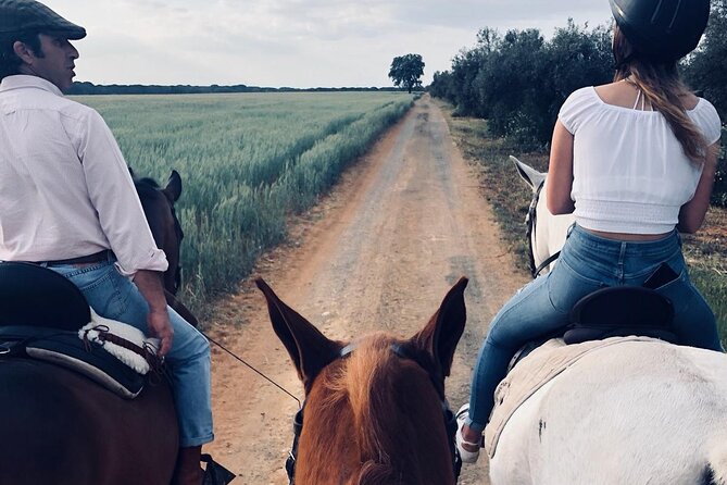 Granada & Sierra Nevada Horse Riding Tour