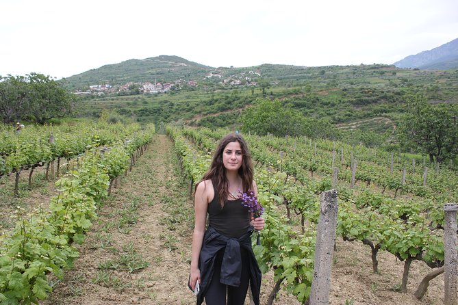 Grand Wine Tasting Tour of Berat / Offered by Tirana Day Trips