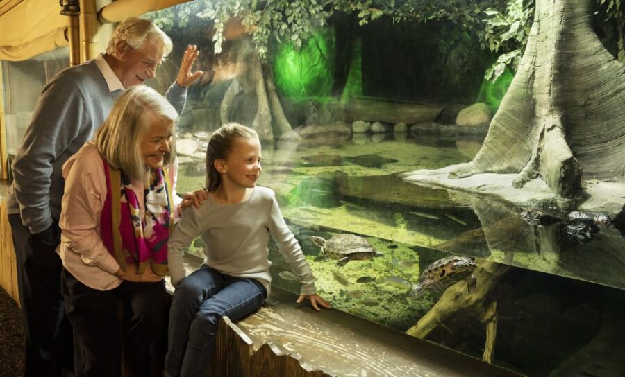 Grapevine: SEA LIFE Grapevine Aquarium General Admission