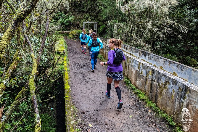 Green Levada Running Tour (Easy-Moderate)