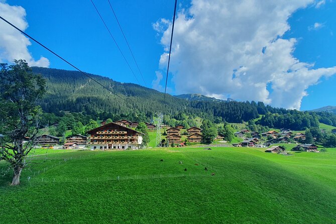 Grindelwald First (Top of Adventure) Ticket Incl. Cliff Walk