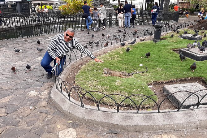 Guayaquil City Tour Including the Light House of Cerro Santa Ana