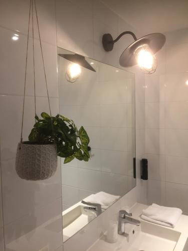 GuestHouse Hotel Kaatsheuvel-Waalwijk - Hotel Overview