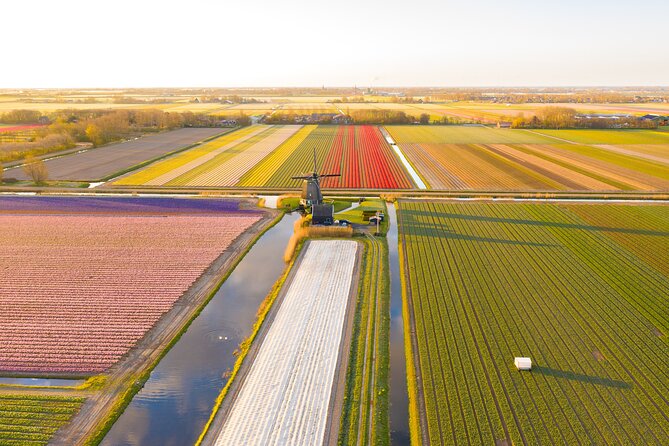 3 Best Guided Tours In North Holland