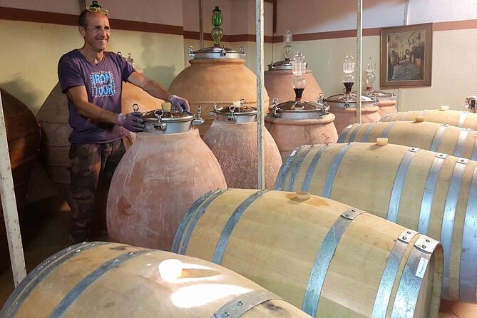Guided Cycle Tourism Wine Tour by E-Bike on the Island of Elba Arrighi