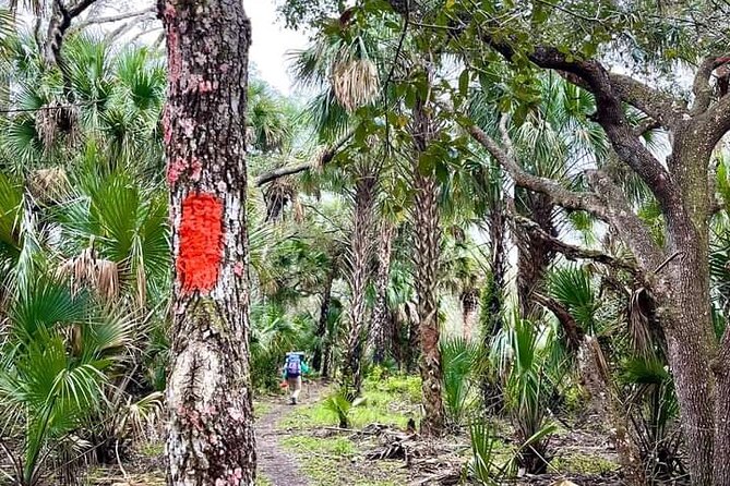 Guided Day Hike Through Floridas Wild Backcountry.