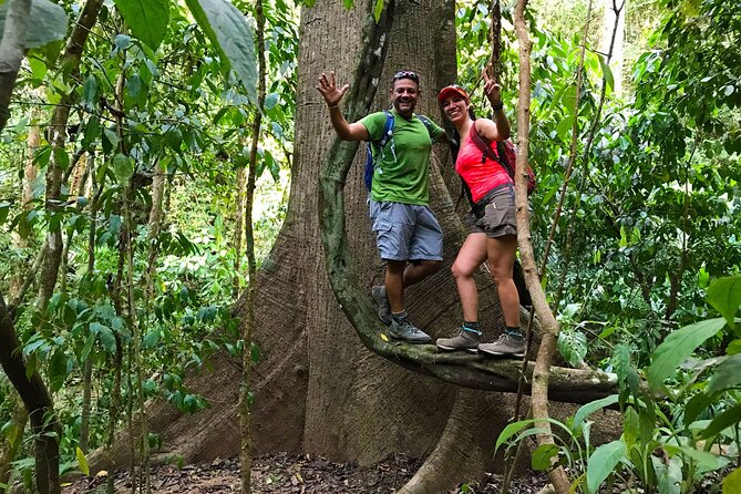 Guided Hiking Tour by the Mystic Ebano Rainforest in Costa Rica - Tour Overview