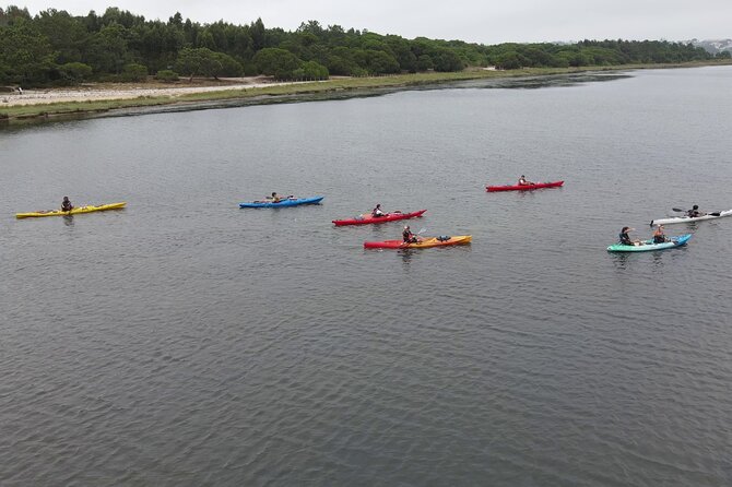 Guided Kayak Tours in the Óbidos Lagoon - Kayaking for Families