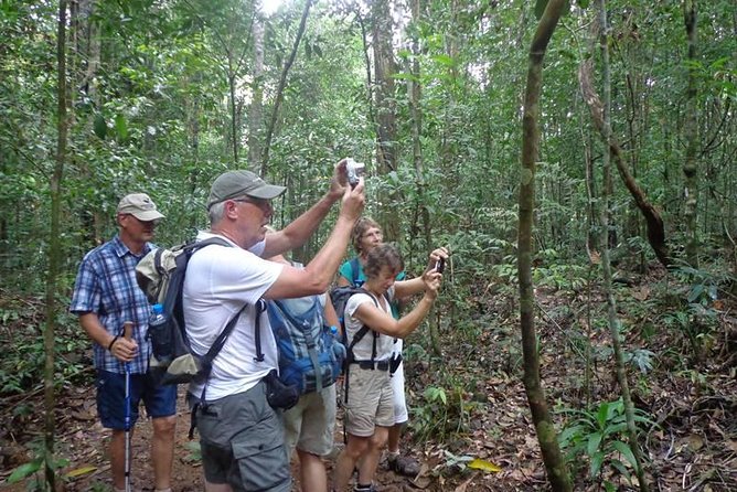 Guided Nature Trail to Kanneliya Forest