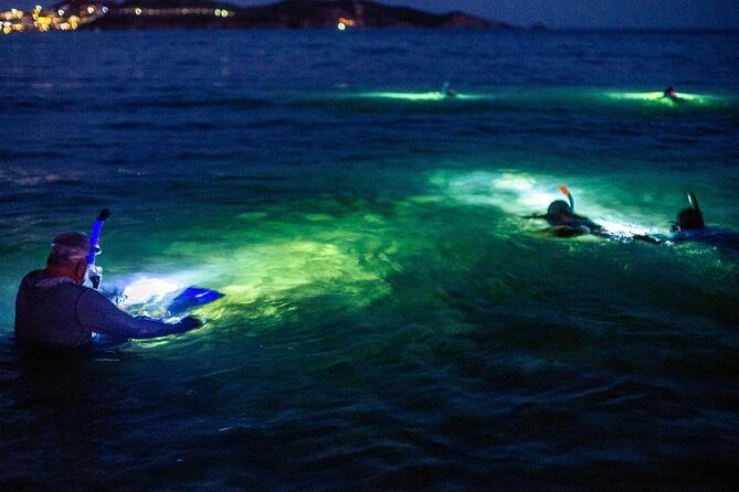 Guided Night Snorkeling in Roatan - Overview of the Night Snorkeling Tour
