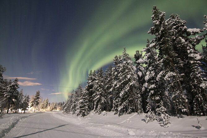 Guided Northern Lights Tour at Kiruna