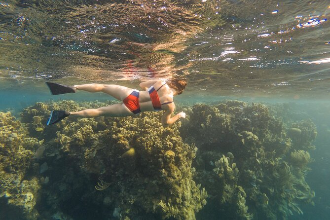 Guided Snorkeling Adventure in West Bay - Location and Reef Overview
