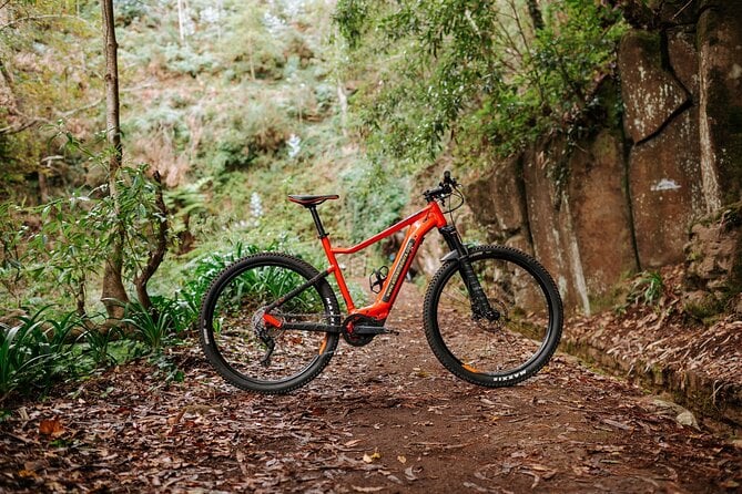 Guided Tour Electric Mountain Bike Experience
