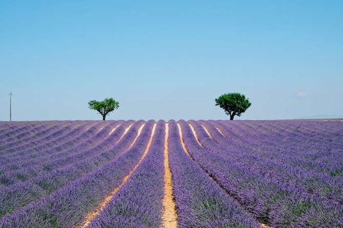 GUIDED Tour: Lavender Fields, the Gorges Du Verdon