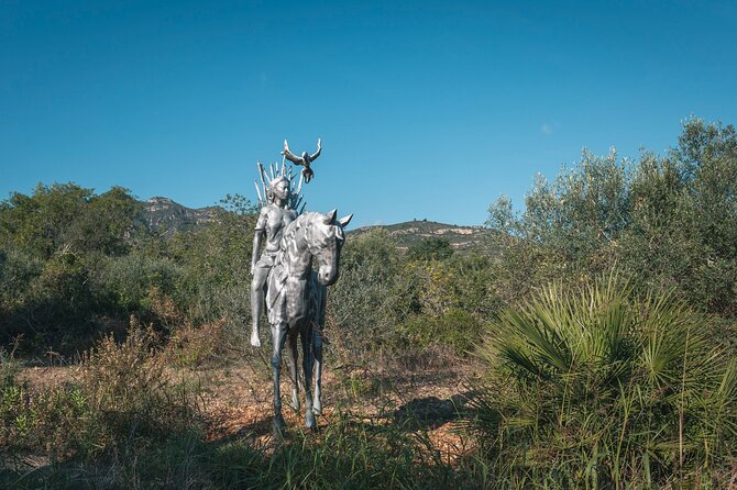 Guided Tour Museum of Contemporary Art and Sculpture Park - Tour Inclusions and Amenities