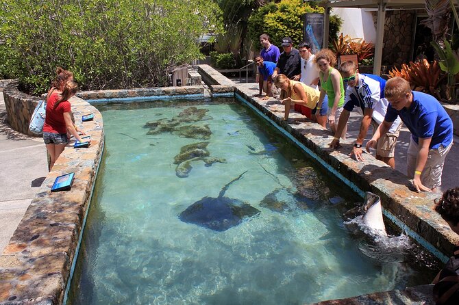 Guided Tour of Coral World Ocean Park & Happy Hour - Exploring the Coral World Ocean Park