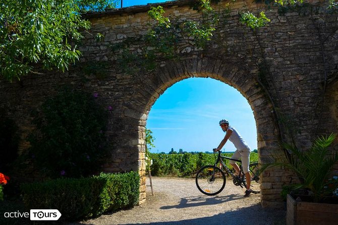 3 Best Bike Tours In Dijon