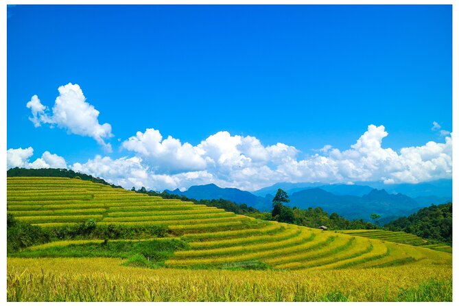 Ha Giang Loop 2d/1n Private Room + Free Stay Hotel 1N Before Tour - Tour Overview