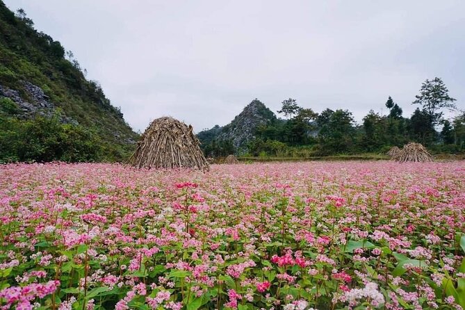 Ha Giang Loop 3d/2n Private Tour With Easy Rider