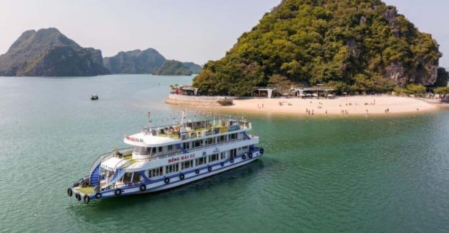 Ha Long: Half Day Cruise With Lunch, Kayaking, and Swimming