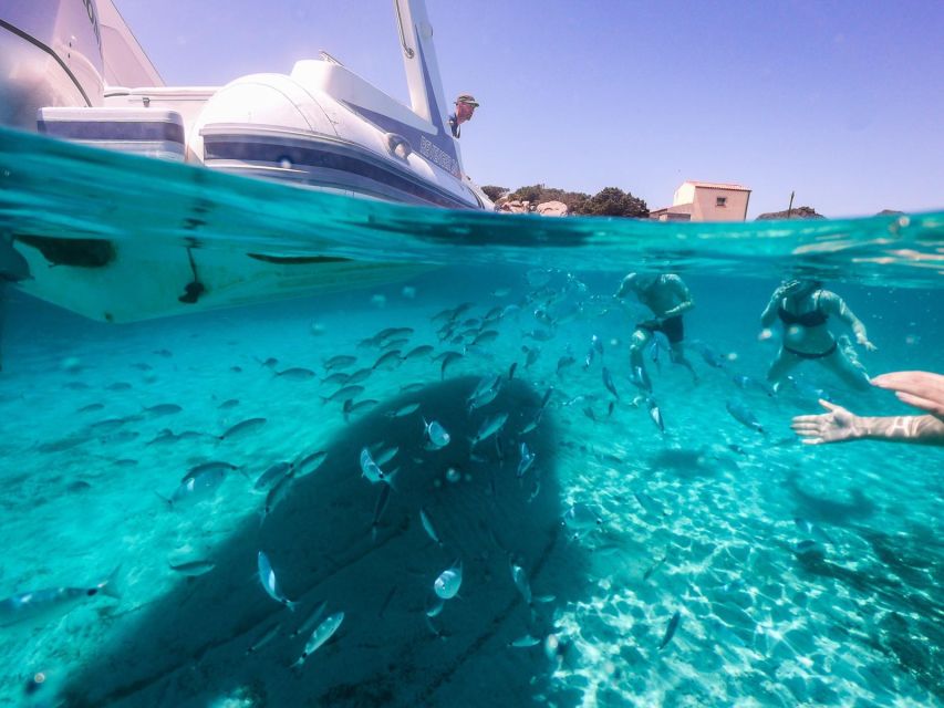 11 Best Cruises And Boat Tours In Palau