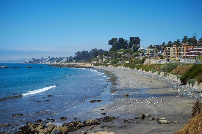 Half-Day Chilean Pacific Coast Tour: Viña Del Mar, Reñaca and Concón - Tour Overview