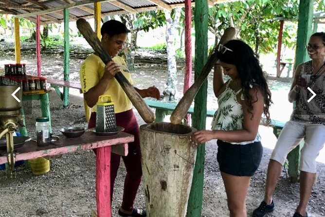 Half Day Dominican Republic Cultural Tour