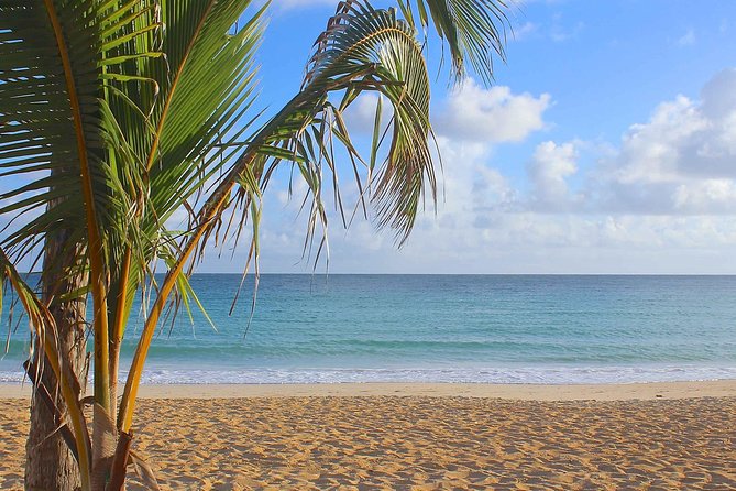 Half-Day Dominican Republic Safari Tour From Punta Cana